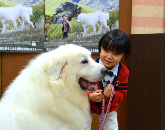 モフモフ犬をギュっ！『ベル＆セバスチャン』公開直前イベントフォトギャラリー（2枚目）