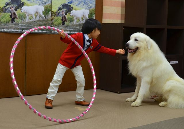 モフモフ犬をギュっ！『ベル＆セバスチャン』公開直前イベントフォトギャラリー（4枚目）