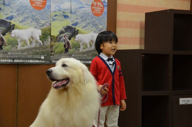 モフモフ犬をギュっ！『ベル＆セバスチャン』公開直前イベントフォトギャラリー（7枚目）