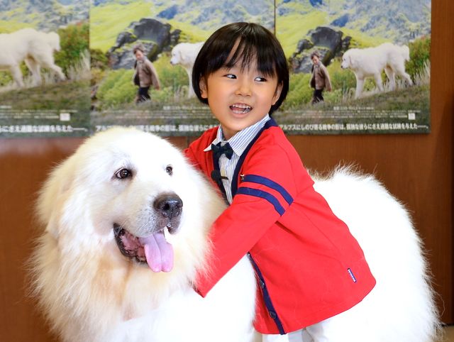 モフモフ犬をギュっ！『ベル＆セバスチャン』公開直前イベントフォトギャラリー（9枚目）