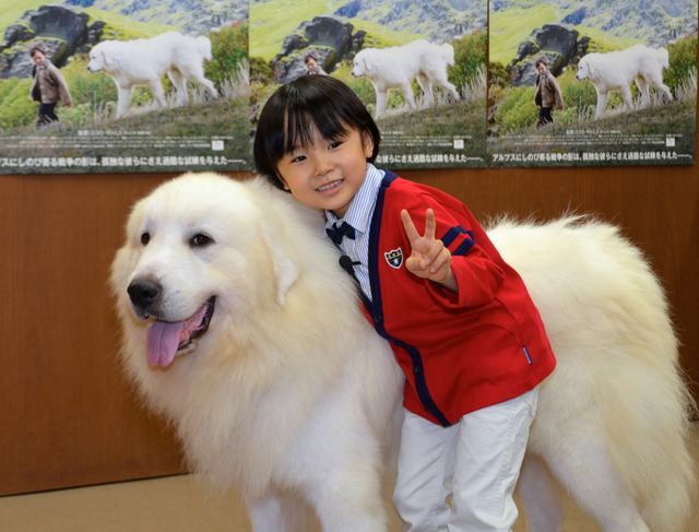 モフモフ犬をギュっ！『ベル＆セバスチャン』公開直前イベントフォトギャラリー（10枚目）