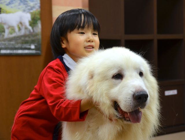 モフモフ犬をギュっ！『ベル＆セバスチャン』公開直前イベントフォトギャラリー（13枚目）