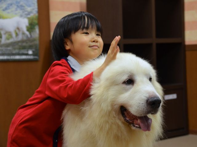 モフモフ犬をギュっ！『ベル＆セバスチャン』公開直前イベントフォトギャラリー（14枚目）