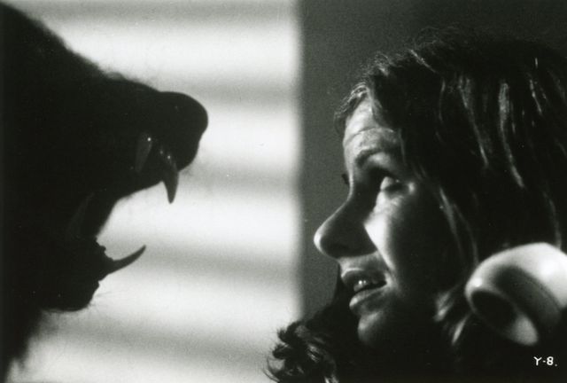 「ロードショーとスクリーン ブームを呼んだ外国映画」上映会　上映作品フォトギャラリー（15枚目）