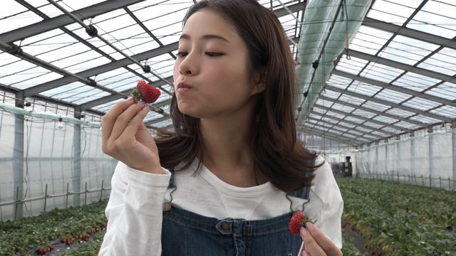 安定のかわいさ！石原さとみ東京メトロ新CMフォトギャラリー（15枚目）