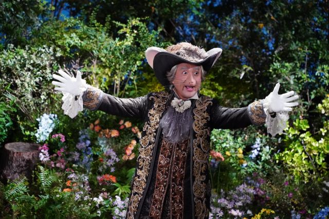 シンデレラの継母、魔法使い…おとぎの世界の場面写真10点（8枚目）