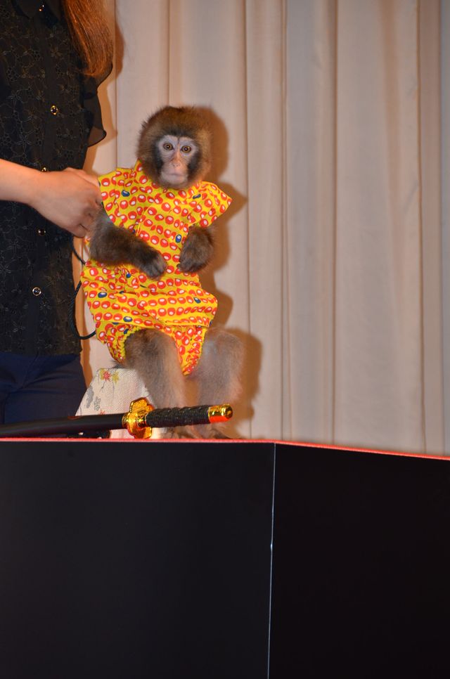 佐々木蔵之介が居合でスイカ割り！フォトギャラリー（8枚目）