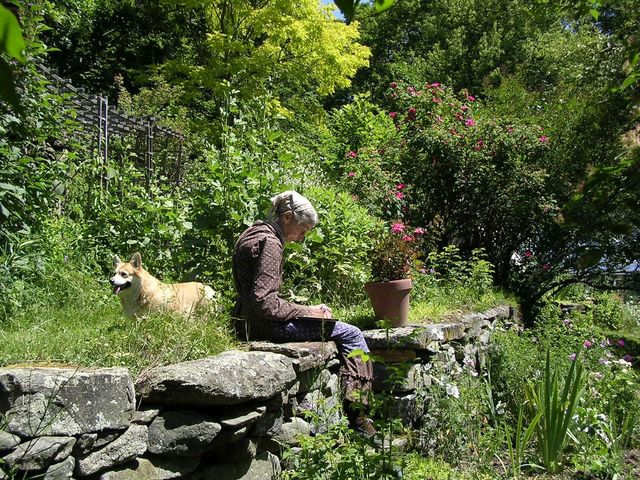 絵本作家ターシャ・テューダーが映画化！フォトギャラリー（3枚目）