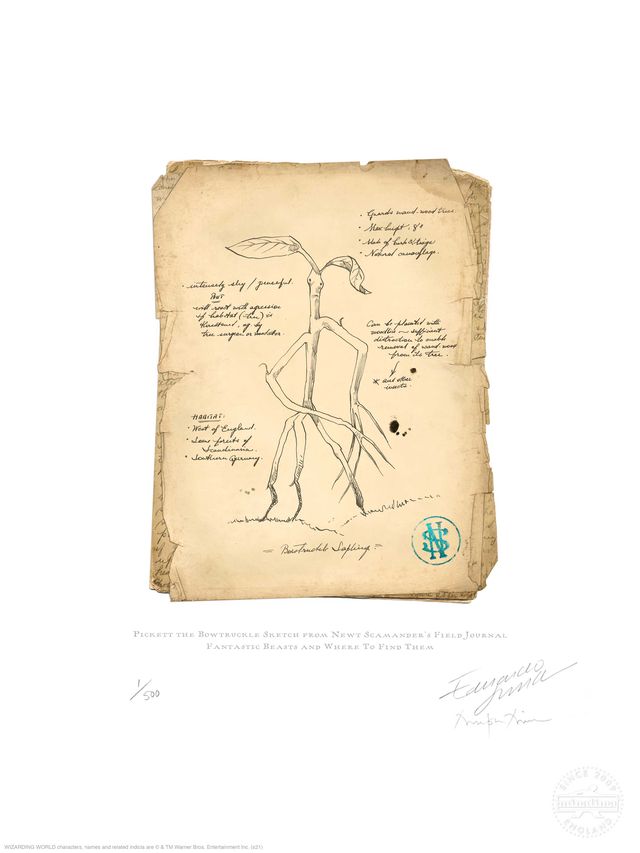 『ファンタスティック・ビーストとダンブルドアの秘密』ミナリマのアート集（4枚目）