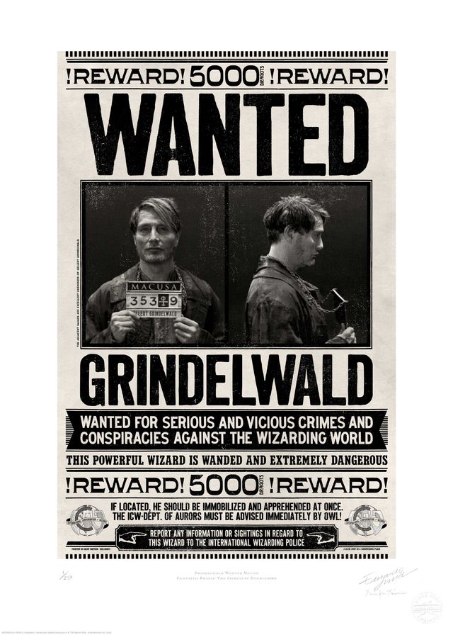 『ファンタスティック・ビーストとダンブルドアの秘密』ミナリマのアート集（11枚目）