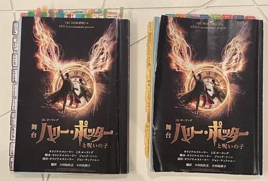 完売！「ハリー・ポッターと呪いの子」舞台手話通訳付き公演の様子（8枚目）