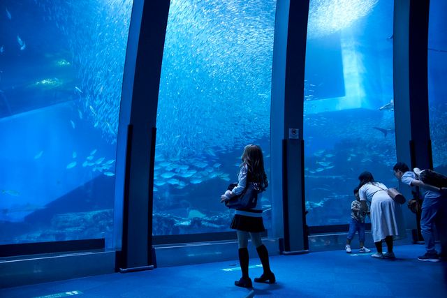 これぞ理想のデート…松村北斗＆森七菜『ライアー×ライアー』場面カット！（3枚目）