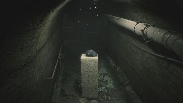 ハンク＆豆腐も出る！「バイオハザード RE:2」（3枚目）