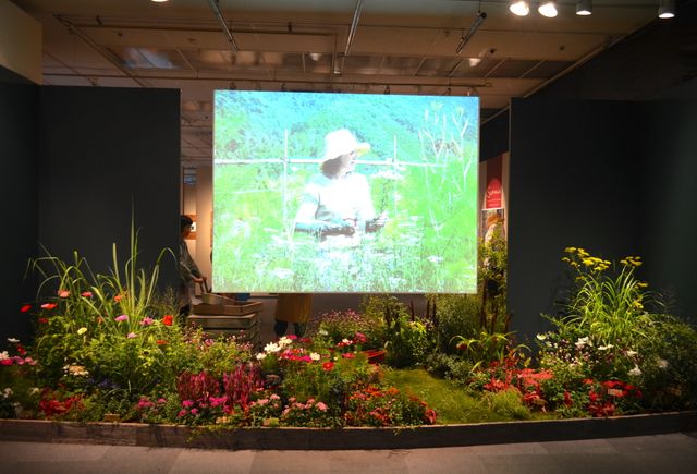 ベニシアさんの庭の一部も！フォトギャラリー（3枚目）