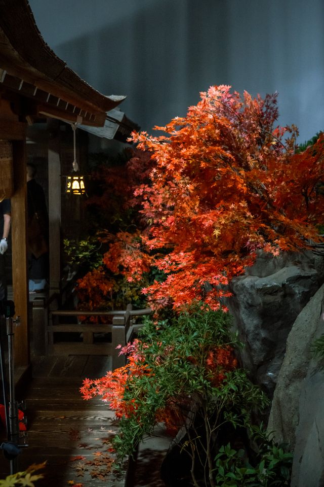 「光る君へ」石山寺、圧巻のセット美術（11枚目）