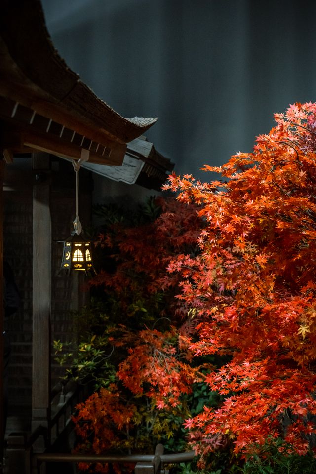 「光る君へ」石山寺、圧巻のセット美術（12枚目）