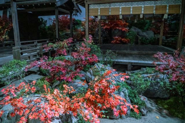 「光る君へ」石山寺、圧巻のセット美術（17枚目）