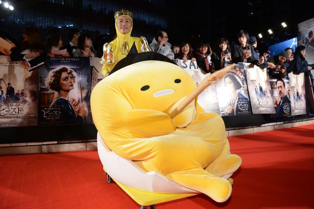 ざわちん『ファンタビ』ニュート風ものまねメイクで登場！ジャパンプレミアフォトギャラリーVol.2（15枚目）