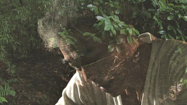 「福島映像祭2014」上映作品フォトギャラリー（2枚目）