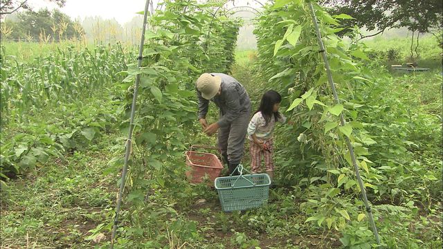 「福島映像祭2014」上映作品フォトギャラリー（9枚目）
