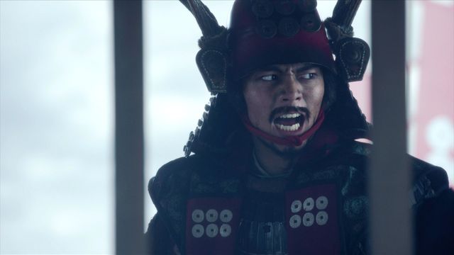 大坂の陣で立ちはだかる真田、苦渋の決断をする家康…「どうする家康」第46回（6枚目）