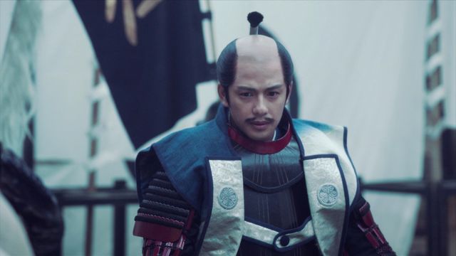 大坂の陣で立ちはだかる真田、苦渋の決断をする家康…「どうする家康」第46回（8枚目）