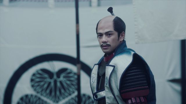 大坂の陣で立ちはだかる真田、苦渋の決断をする家康…「どうする家康」第46回（9枚目）