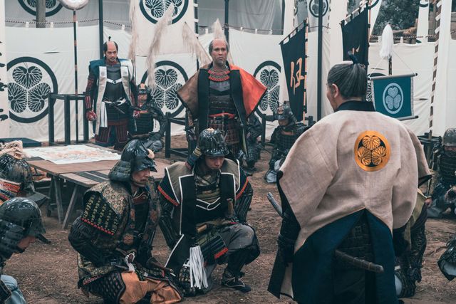 大坂の陣で立ちはだかる真田、苦渋の決断をする家康…「どうする家康」第46回（11枚目）