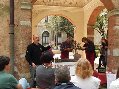 イタリアで開催された第15回ウディネ・ファーイースト映画祭で行われた「盆栽ケアの芸術」