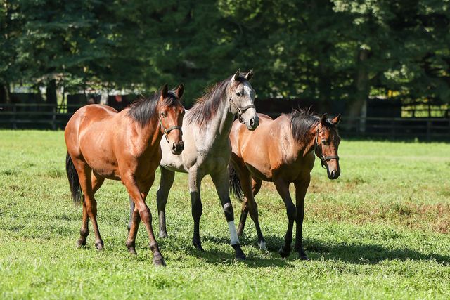 目黒蓮は謎の役柄…日曜劇場「ザ・ロイヤルファミリー」場面写真（13枚目）