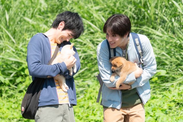 林遣都のくしゃっと笑顔！映画『犬部！』場面カット：フォトギャラリー