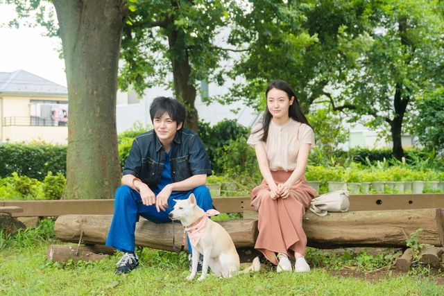 林遣都のくしゃっと笑顔！映画『犬部！』場面カット（4枚目）