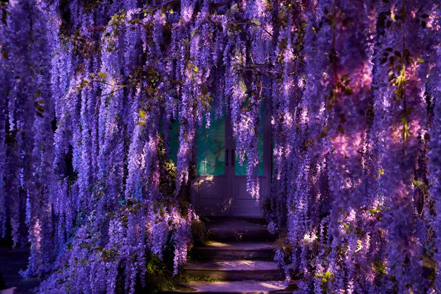 圧倒的な美！『ホリック xxxHOLiC』ミセのセット＜10点＞（10枚目）