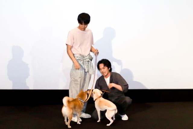 林遣都が共演者の中川大志、大原櫻子、浅香航大と登壇！『犬部！』完成披露イベント（2枚目）