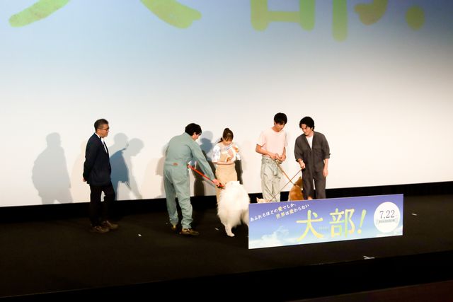林遣都が共演者の中川大志、大原櫻子、浅香航大と登壇！『犬部！』完成披露イベント（23枚目）