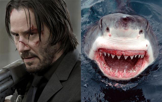 『ジョン・ウィック』シリーズでのキアヌ・リーヴス（左）＆サメ（右）