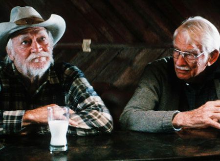 映画『ストレイト・ストーリー』の画像（5枚目）