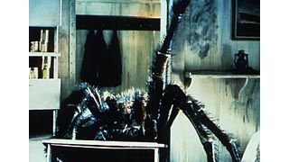 スパイダース2