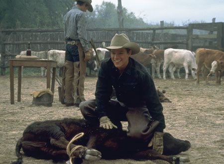 映画『すべての美しい馬』の画像（4枚目）