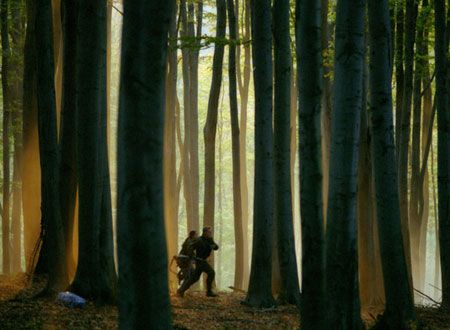 映画『エネミー・ライン』の画像（3枚目）