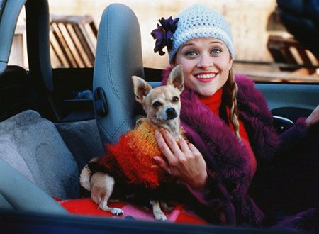 映画『キューティ・ブロンド』の画像（2枚目）