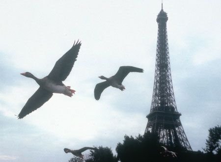 映画『WATARIDORI』の画像（5枚目）