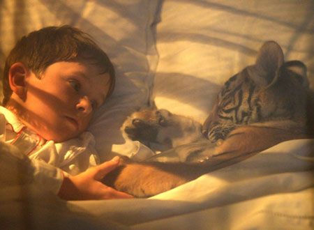 映画『トゥー・ブラザーズ』の画像（2枚目）