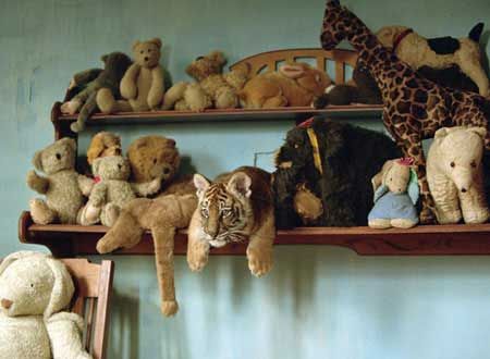 映画『トゥー・ブラザーズ』の画像（5枚目）