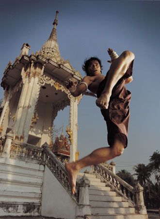 映画『マッハ！』の画像（4枚目）