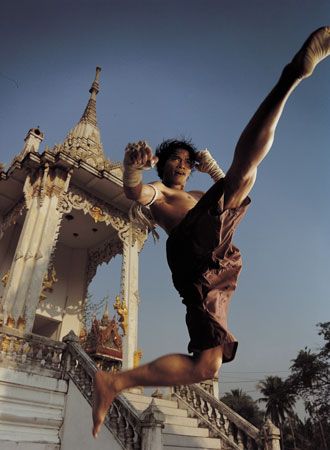 映画『マッハ！』の画像（5枚目）