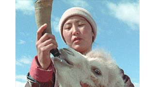らくだの涙