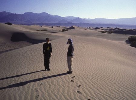 映画『ジェリー』の画像（3枚目）