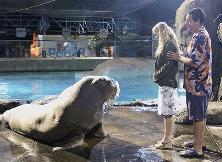 映画『50回目のファースト・キス』の画像（5枚目）