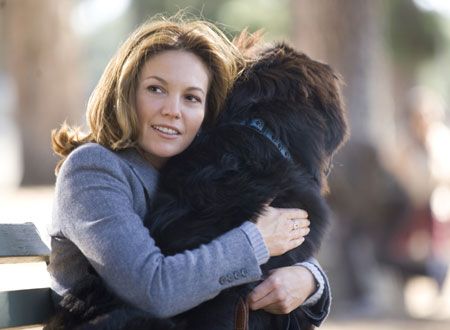 映画『理想の恋人.com』の画像（2枚目）